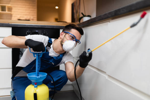 Best Pest Inspection Near Me  in Hoopeston, IL