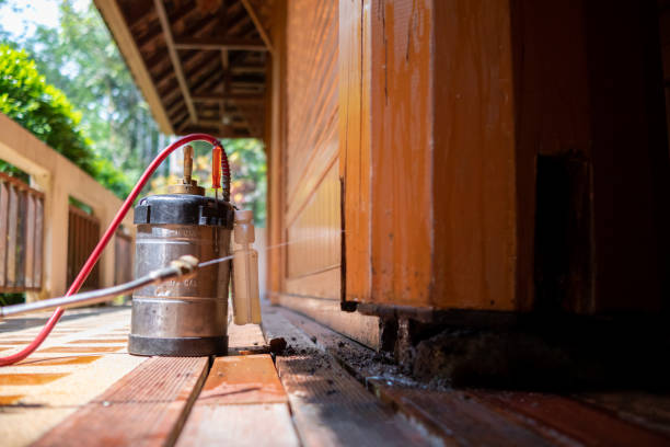 Best Insect Control  in Hoopeston, IL