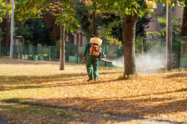 Best Mosquito Control Services  in Hoopeston, IL