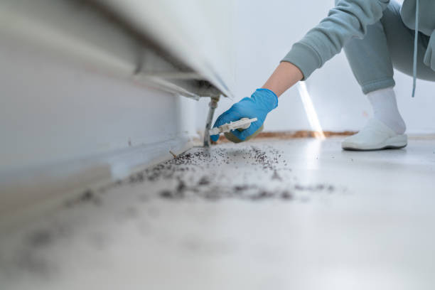 Best Commercial Pest Control Services  in Hoopeston, IL