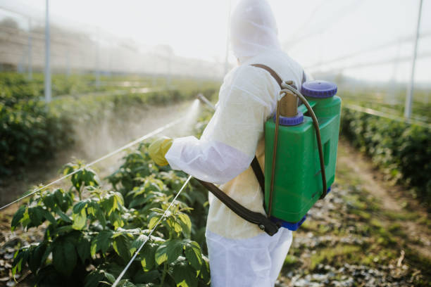 Best Cockroach Control Services  in Hoopeston, IL